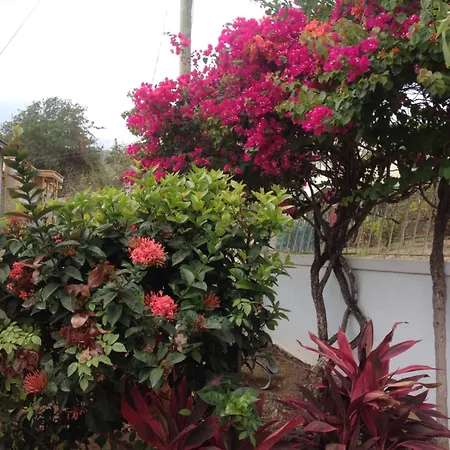White House Apartments Dennery St.Lucia
